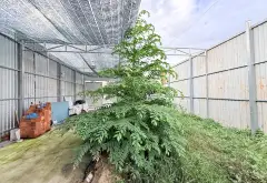 Bán đất 251,5m2 tại phường Thới An, Hồ Chí Minh, mặt tiền rộng 8,9m, pháp lý cơ sở... Bán đất tại Thới An, Hồ Chí Minh 05