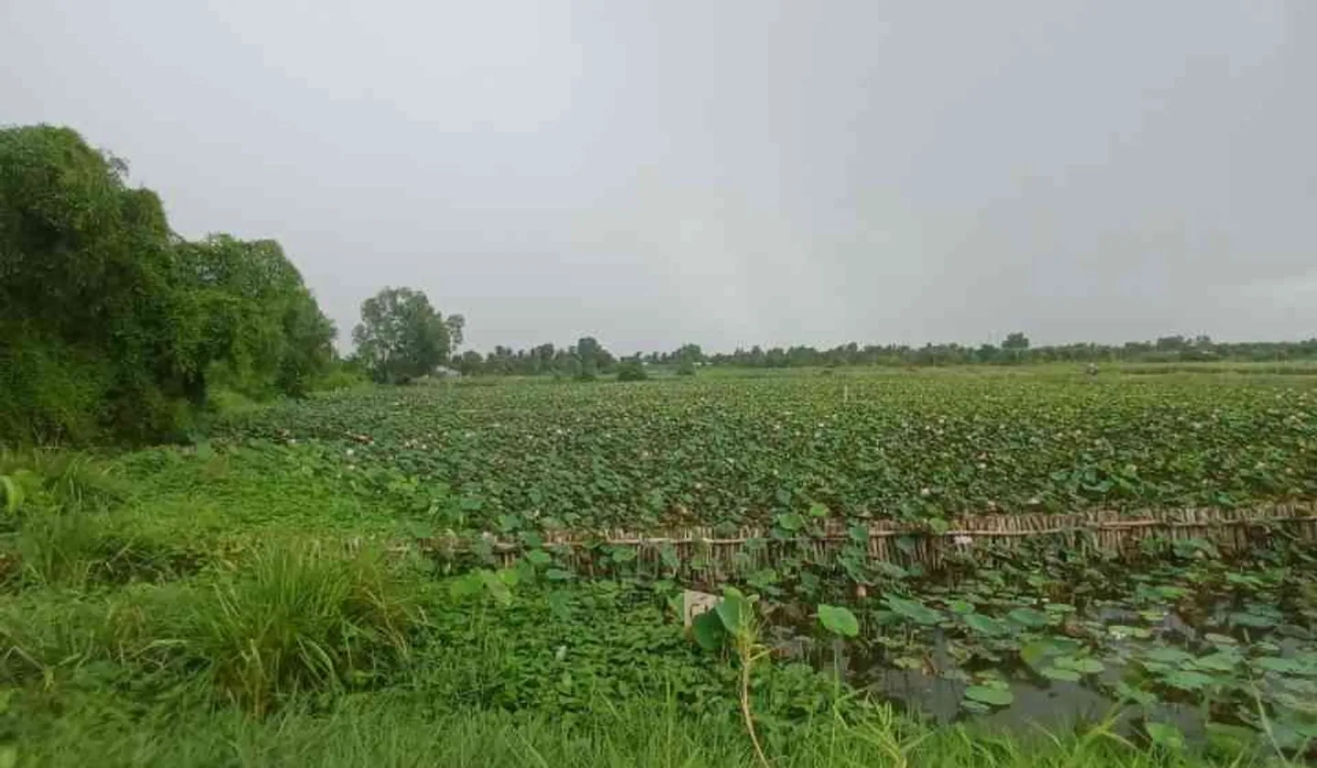 Đất - 1846m² - Bình Lợi, Bình Chánh, TP Hồ Chí Minh - 5.5 tỷ... Bán đất tại Bình Lợi, Hồ Chí Minh 01