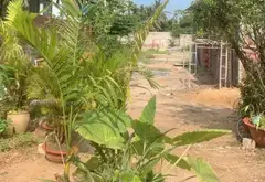 Đất vườn siêu đẹp tại Long Trường giá hợp lý... Bán đất tại Long Trường, Hồ Chí Minh 08