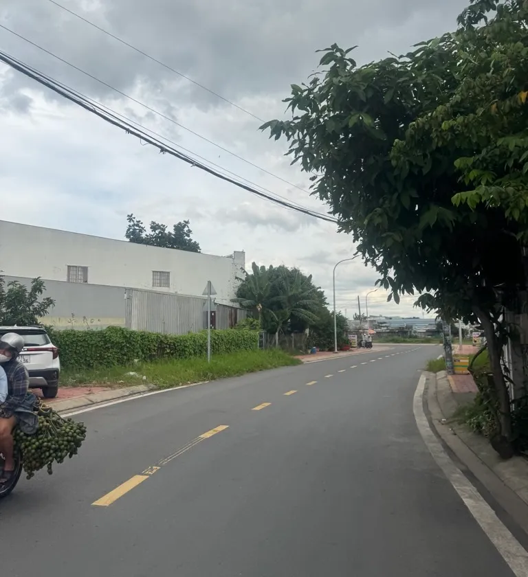 Quyền sở hữu đất mặt tiền đắt giá tại trung tâm quận... Bán đất tại Bà Điểm, Hồ Chí Minh 01