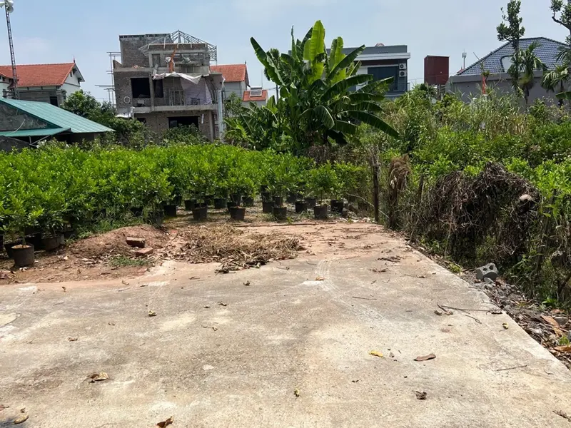 TÔI BÁN LÔ ĐẤT TẠI THÔN QUÁN TRẠCH AB LIÊN NGHĨA VĂN GIANG ÔTÔ ĐỖ CỔNG CÁCH TRỤC CHÍNH ÔTÔ TRÁNH 30... Bán đất tại Văn Giang, Hưng Yên 01