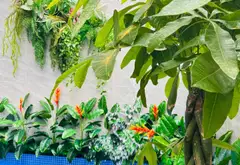 Bán nhà riêng 4 tầng 70m2, Hoàng Diệu, Hải Châu, Đà Nẵng, có hồ bơi và pháp lý rõ ràng... Bán nhà riêng tại Hải Châu, Đà Nẵng 02
