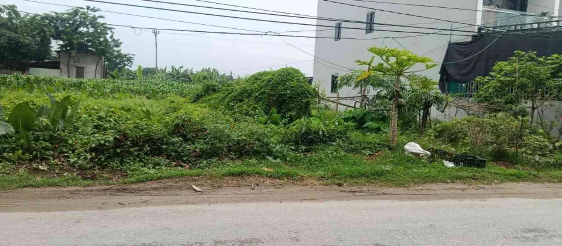 Bán đất mặt tiền rộng kinh doanh tại Khoái Châu, Hưng Yên... Bán đất tại Triệu Việt Vương, Hưng Yên 01