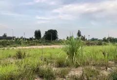 🔥 HÀNG HOT XÃ HOÀN LONG – LÔ ĐẤT ĐẸP 95M² – ĐỐI DIỆN TRƯỜNG MẦM NON – SÁT CỤM CÔNG NGHIỆP CÔNG NGH... Bán đất tại Yên Mỹ, Hưng Yên 01