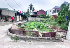 Đất Văn Giang mặt tiền rộng - Cơ hội đầu tư siêu tiềm năng... Bán đất tại Văn Giang, Hưng Yên 01