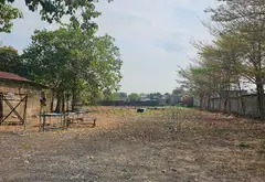QUỸ ĐẤT LỚN TRONG KHU DÂN CƯ - ĐƯỜNG XE CONTAINER - CÁCH MẶT TIỀN 15M - ĐẤT ĐÃ LÊN THỔ CƯ... Bán đất tại Củ Chi, Hồ Chí Minh 06