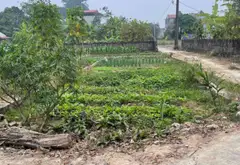 Cơ Hội Sở Hữu Lô Đất Vàng Tại Sóc Sơn - DT 79m2 - Giá Chỉ Hơn 1 Tỷ - Đường Ô Tô - Quá Ngon... Bán đất tại Sóc Sơn, Hà Nội 06
