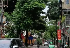Nhà phân lô ô tô đỗ cửa, cách phố chỉ 50m... Bán nhà riêng tại Láng, Hà Nội 05