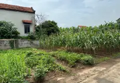 Đất đẹp giá êm tại Hạnh Lâm Mai Động Kim Động nay là Đức Hợp Hưng Yên... Bán đất tại Đức Hợp, Hưng Yên 03