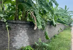 Nhà trong ngõ, ngách, hẻm - 200m² - Gia Bình, Bắc Ninh - 4.25 tỷ... Bán nhà riêng tại Gia Bình, Bắc Ninh 03