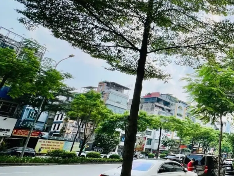 Nhà mặt phố Xã Đàn 5 tầng mặt tiền 7m, giá tốt, cơ hội đầu tư sinh lời ngay... Bán nhà mặt phố tại Văn Miếu - Quốc Tử Giám, Hà Nội 01