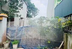Đất siêu đẹp Cổ Loa giá cực tốt, gần Vinhomes... Bán đất tại Đông Anh, Hà Nội 05