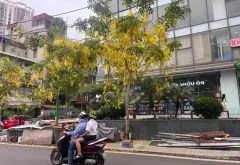 Căn hộ 2 phòng ngủ tại Phường Phương Liệt, Hà Nội với ban công Đông Nam thoáng mát... Bán căn hộ chung cư tại Phương Liệt, Hà Nội 08