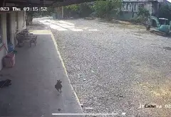 Cơ hội sở hữu đất mặt tiền rộng tại Bình Chánh... Bán partner tại Bình Chánh, Hồ Chí Minh 09