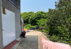 Đất lô góc 3 mặt thoáng Văn Giang - Cực hiếm, giá tốt chỉ 300m vành đai 4 cầu mễ sở... Bán đất tại Văn Giang, Hưng Yên 01