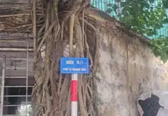 Kẹt Hàng: Đất Vàng Tạ Quang Bửu Chỉ 12.6 Tỷ!... Bán nhà riêng tại Bạch Mai, Hà Nội 04