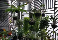 Bán Nhà Mặt Phố - Quận 7 - KDC VIP - 90m2 - 4 TẦNG - 14 Tỷ... Bán nhà mặt phố tại Phú Thuận, Hồ Chí Minh 05