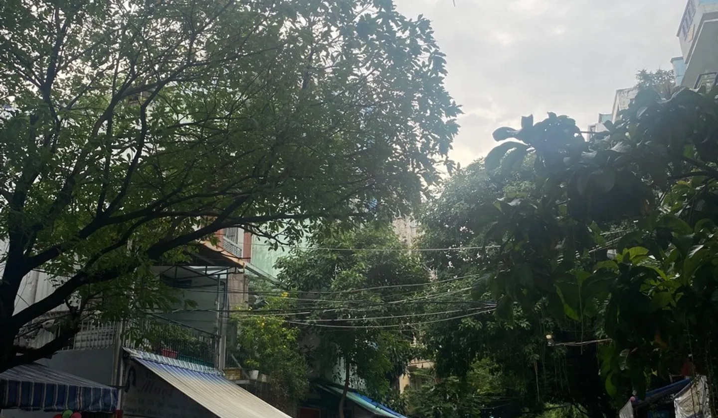 Nhà mặt phố 3 tầng, 116m2, giá 17.5 tỷ, quận Tân Bình... Bán nhà mặt phố tại Tân Bình, Hồ Chí Minh 01