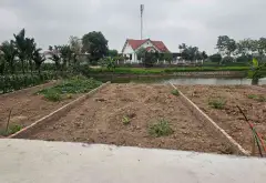 Đất Bán 83.5m² Tại Trung Chính, Lương Tài, Bắc Ninh - Giá 1.9 Tỷ VNĐ... Bán đất tại Trung Chính, Bắc Ninh 06