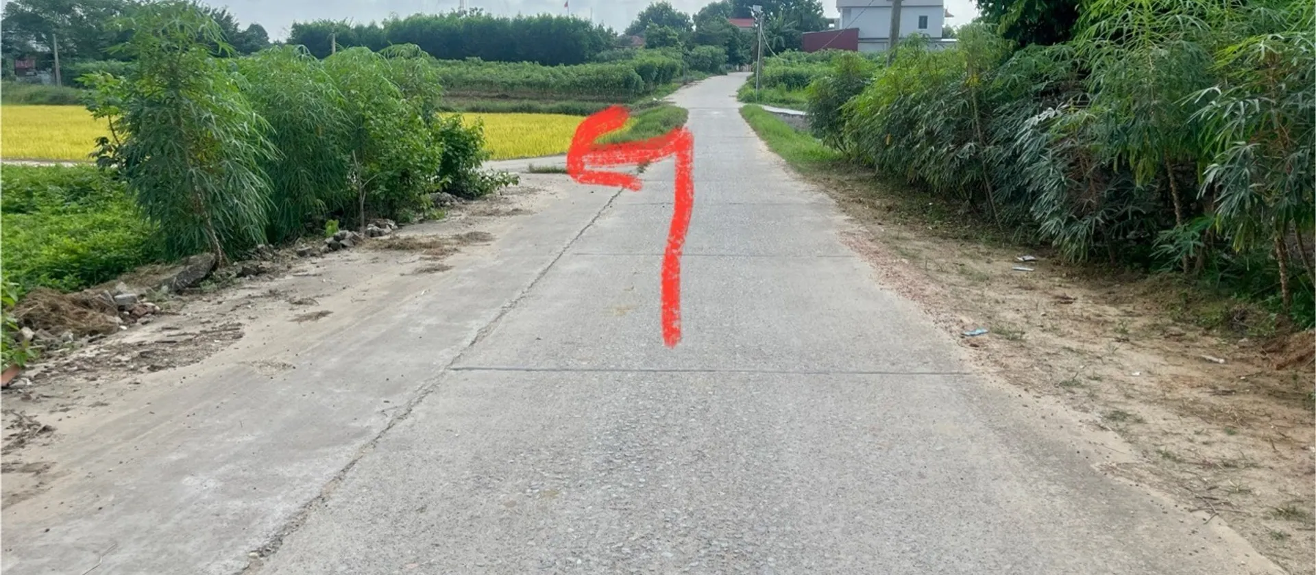 Bán đất xã Hiệp Hòa, Bắc Ninh, diện tích 76.8m² pháp lý rõ ràng, đường ô tô qua đất... Bán đất tại Hiệp Hòa, Bắc Ninh 01
