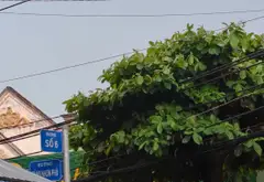 💥 BÁN 🏡 3 TẦNG P.TĂNG NHƠN PHÚ B 49M2 GIÁ 5 TỈ 3.... Bán nhà riêng tại Tăng Nhơn Phú, Hồ Chí Minh 03