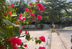 Bán nhà riêng 4 tầng tại phường Đào Tông Nguyên, hoàn thiện mới, thang máy, diện tích 63m2... Bán nhà riêng tại Nhà Bè, Hồ Chí Minh 03