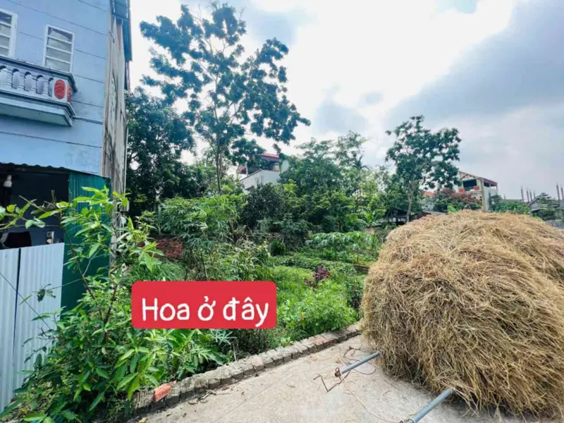 Bán đất 83m2 phường Bắc Phú, Sóc Sơn - Giá giảm 100 triệu, chỉ còn 1.760 tỷ VNĐ... Bán đất tại Đa Phúc, Hà Nội 01