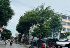 🔥 BÁN CĂN HỘ CHUNG CƯ DA SÀ – AN LẠC, BÌNH TÂN 🔥... Bán căn hộ chung cư tại An Lạc, Hồ Chí Minh 07