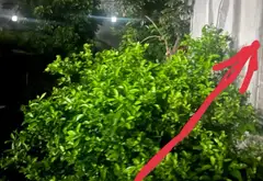 Bán đất nền vị trí đẹp xã Nam Sơn, Bắc Ninh, diện tích 102m2, pháp lý đầy đủ... Bán đất tại Nam Sơn, Bắc Ninh 03