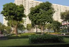 Bán nhà 4 tầng ngay gần khu 38ha, gần ga Metro Tham Lương, có công viên nội khu - hơn 80m2.... Bán nhà mặt phố tại Đông Hưng Thuận, Hồ Chí Minh 03