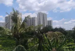 Căn hộ dịch vụ 14 phòng - Dòng tiền ổn định ngay Quận 9... Bán nhà riêng tại Long Bình, Hồ Chí Minh 07