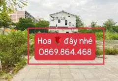 Cơ hội sở hữu đất vàng KĐT Hanaka Paris với view Hồ điều hòa hiếm có... Bán đất tại Từ Sơn, Bắc Ninh 04