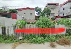 Đất Vàng Ném Sơn Giá Tốt - Chủ Thiện Chí Giảm Giá... Bán đất tại Hạp Lĩnh, Bắc Ninh 07