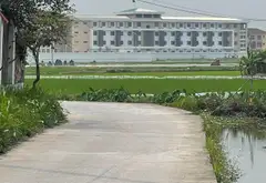 Đất đẹp thôn Nghĩa Thắng, sổ sẵn, giá siêu tốt... Bán đất tại Gia Bình, Bắc Ninh 06