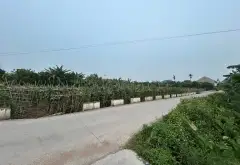 Đất đẹp 2 mặt thoáng ở Hoàn Long, Hưng Yên, giá hợp lý... Bán đất tại Hoàn Long, Hưng Yên 01