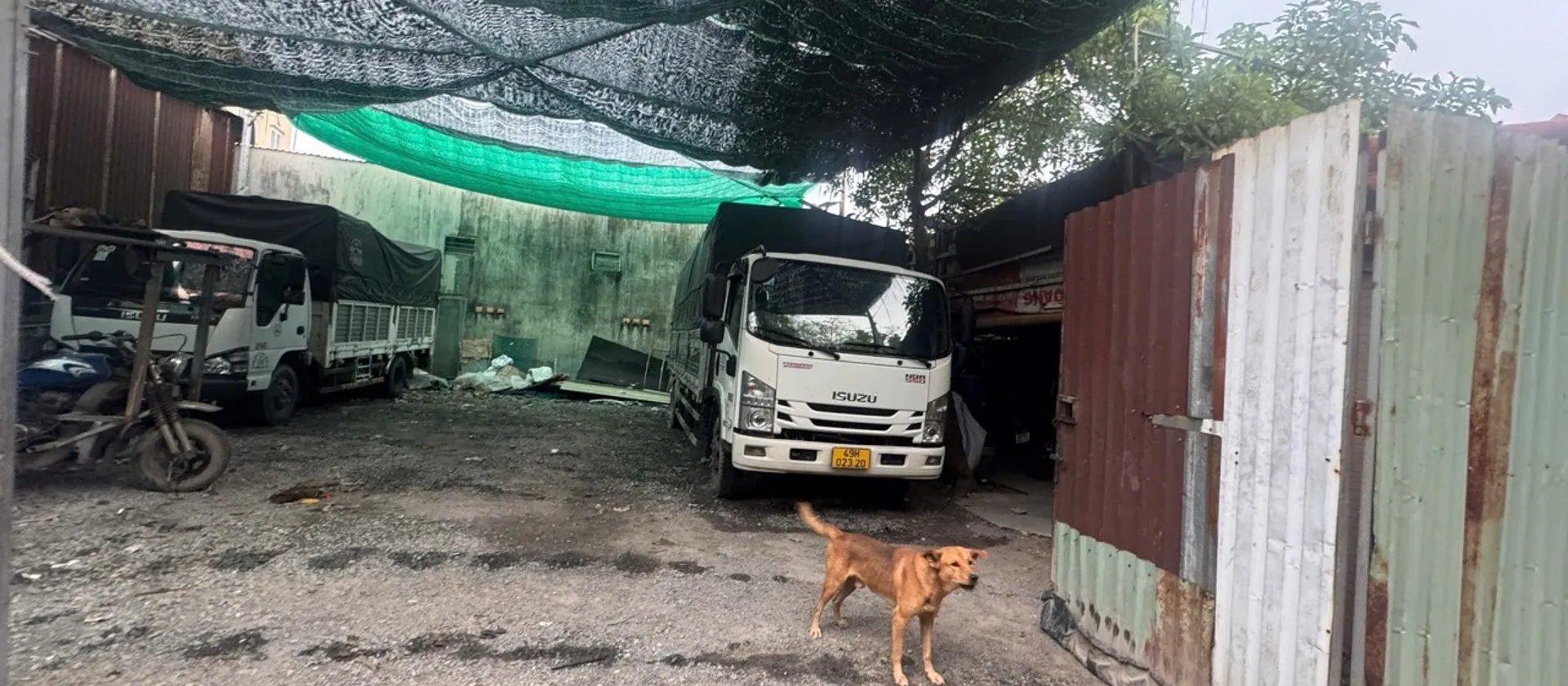 Đất Trống Nguyễn Thị Búp 150m2 đang cho thuê 60tr/ năm... Bán đất tại Tân Thới Hiệp, Hồ Chí Minh 01