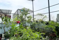 🔥 NHÀ NGANG 5,6M KHU TÊN LỬA – GIÁP QUẬN 6 – 4 TẦNG 4PN – NHỈNH 8 TỶ... Bán nhà riêng tại An Lạc, Hồ Chí Minh 10