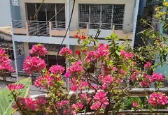 Hiếm Lũy Bán Bích Tân Phú 84m2 3 Tầng Xe Hơi Tránh 11 Tỷ Nở Hậu Tài Lộc... Bán nhà mặt phố tại Phú Thạnh, Hồ Chí Minh 07