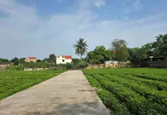 ĐẤT BẮC NINH GIÁ RẺ... Bán đất tại Hiệp Hòa, Bắc Ninh 03