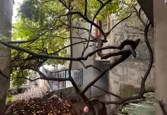 Nhà riêng vị trí trung tâm quận hồ tây, phù hợp kinh doanh và an cư lâu dài... Bán nhà riêng tại Lê Chân, Hải Phòng 18