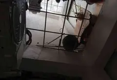 Căn hộ 2 ngủ cực hợp lý giá nhỉnh 2 tỷ tại Lĩnh Nam... Bán căn hộ chung cư tại Vĩnh Tuy, Hà Nội 13