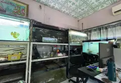 🏡 MẶT TIỀN KINH DOANH – ĐƯỜNG SỐ 9, LINH XUÂN – 5,3 Tỷ... Bán nhà mặt phố tại Linh Xuân, Hồ Chí Minh 07