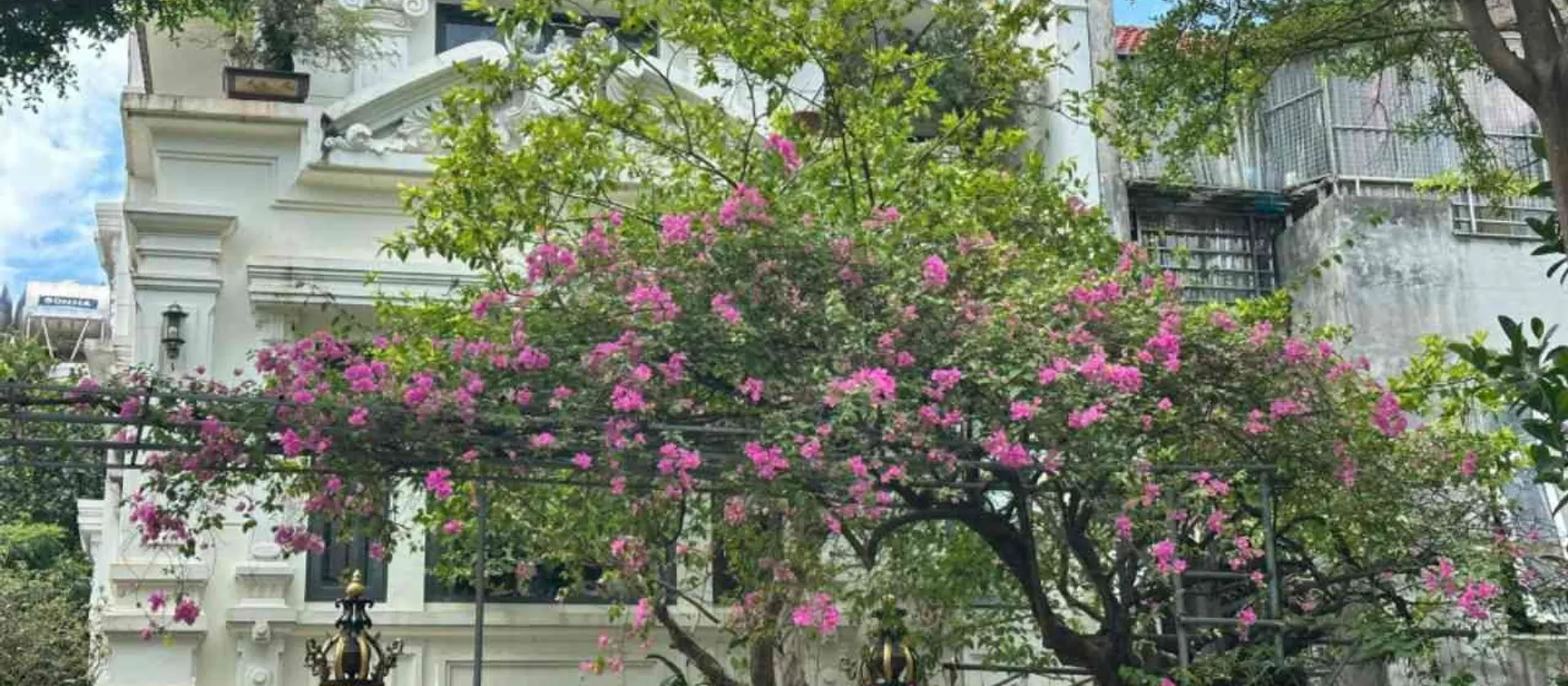 Biệt Thự Đơn Lập Hiếm Có Tại Khu Đô Thị Văn Phú – Đỉnh Cao Giá Trị Sống 201/203m2... Bán biệt thự, liền kề tại Hà Đông, Hà Nội 01