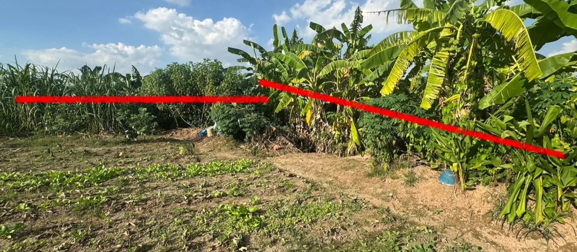 Đất ruộng rộng rãi tại Bình Trù, Thuận An, Gia Lâm giá hấp dẫn... Bán đất tại Thuận An, Hà Nội 01