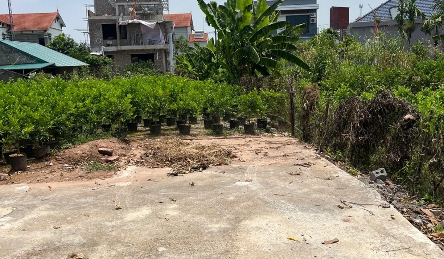 TÔI BÁN LÔ ĐẤT TẠI THÔN QUÁN TRẠCH AB LIÊN NGHĨA VĂN GIANG ÔTÔ ĐỖ CỔNG CÁCH TRỤC CHÍNH ÔTÔ TRÁNH 30... Bán đất tại Văn Giang, Hưng Yên 01