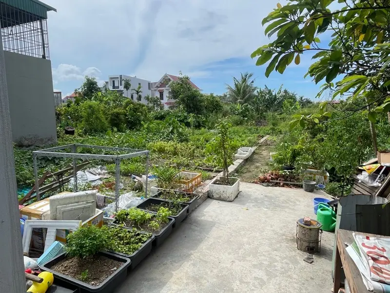 Đất vàng Kiền Hạ – Cơ hội cực hiếm cho nhà đầu tư thông thái... Bán đất tại Đông Hải, Hải Phòng 01