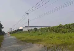 Bán đất xã Vĩnh Lộc, Hồ Chí Minh diện tích lớn, pháp lý rõ ràng... Bán đất tại Vĩnh Lộc, Hồ Chí Minh 04
