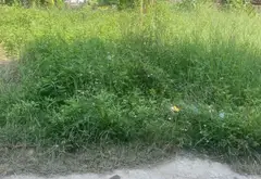 ĐÔNG XUÂN - SÓC SƠN - ĐẤT ĐẸP - ĐẦU TƯ... Bán đất tại Sóc Sơn, Hà Nội 01