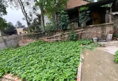 Đất nền 42m² - Ngọc Lịch, Văn Lâm, Hưng Yên - Pháp lý đầy đủ, giá 1.9 tỷ... Bán đất tại Như Quỳnh, Hưng Yên 02