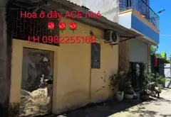 Bán nhà riêng một tầng tại Thôn Phù Lộc, Từ Sơn gần KCN Visip và KCN Đại Đồng... Bán nhà riêng tại Từ Sơn, Bắc Ninh 10